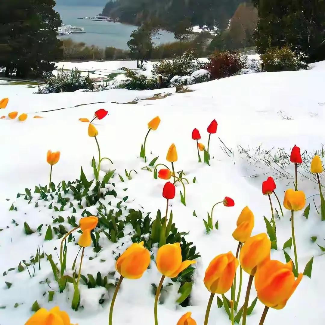下雪文案短句干净12句，浪漫又高级