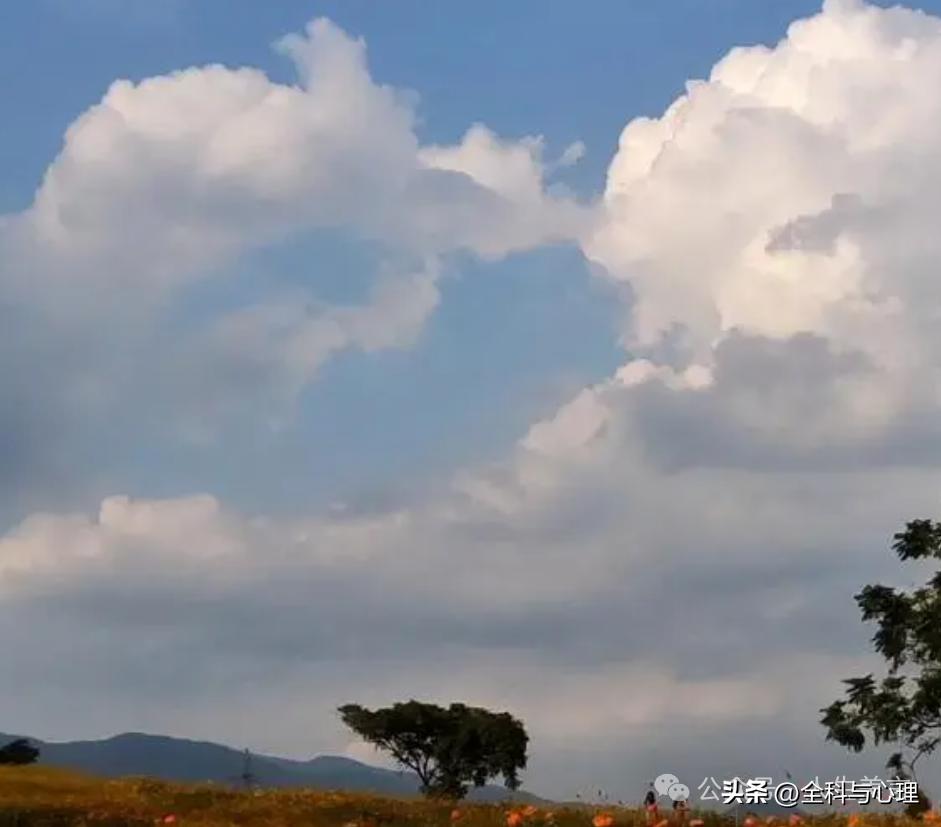 天气很好阳光很美句子12句，让你的阳光瞬间亮眼!