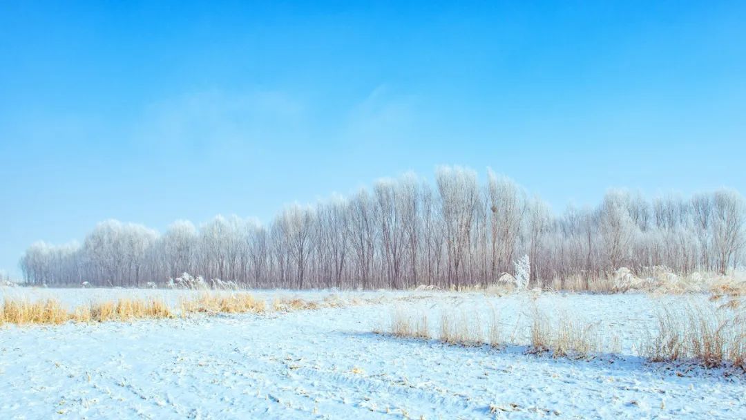 描写冬天下雪的古诗80句，浪漫到极致