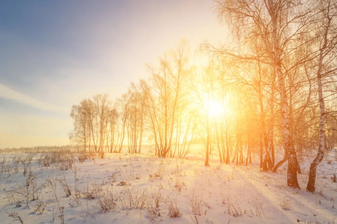 描写冬天下雪的古诗80句，浪漫到极致