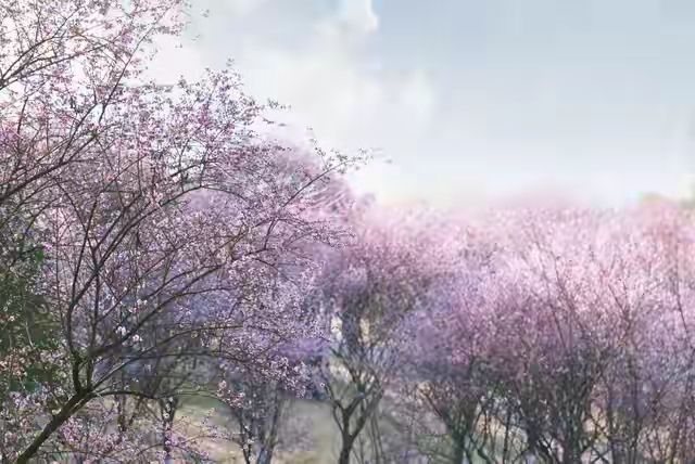 激励人心的励志短句20句，句句振奋人心!