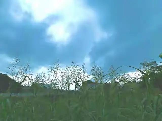 激励人心的励志短句20句，句句振奋人心!