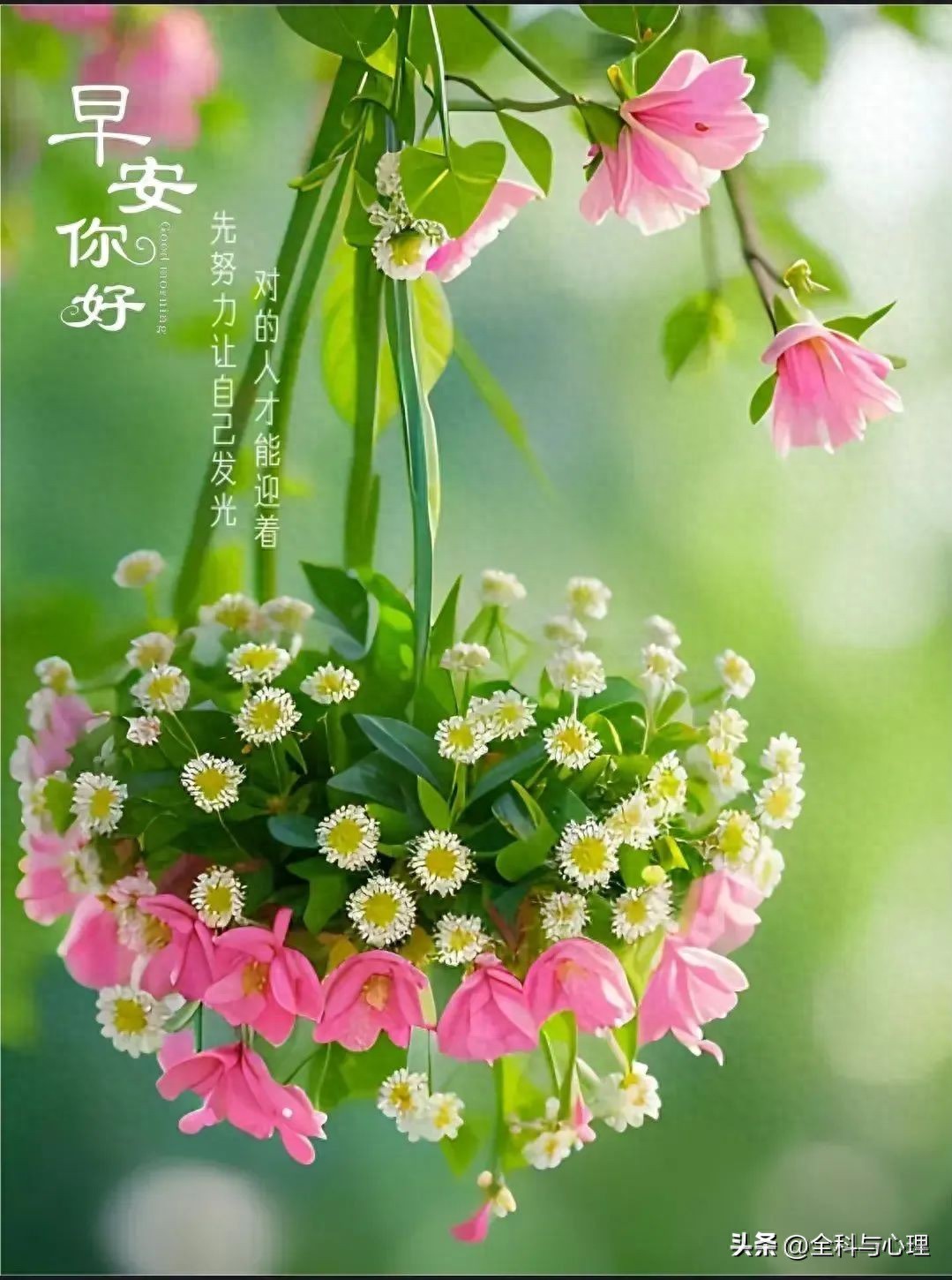 早上问候语温馨正能量12句，晨光带暖意，愿你一路向阳