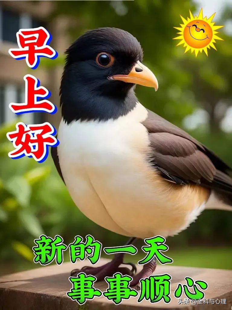 早上问候语温馨正能量12句，晨光带暖意，愿你一路向阳