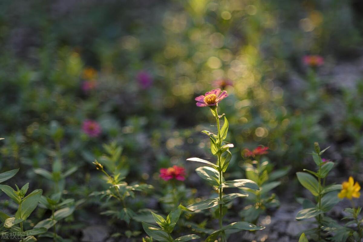 欢迎客人的热情语句11句，让活动氛围瞬间活跃!
