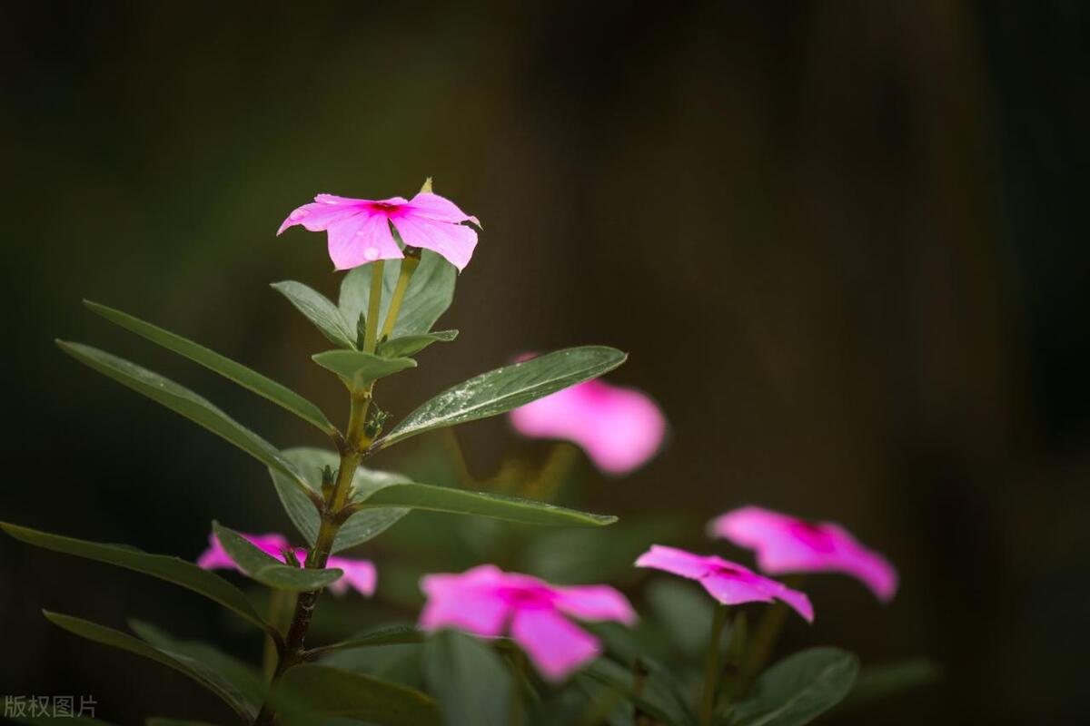 欢迎客人的热情语句11句，让活动氛围瞬间活跃!
