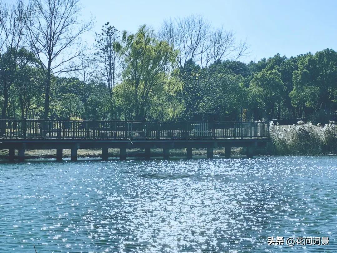 儿童古诗10首，让你回到快乐时光