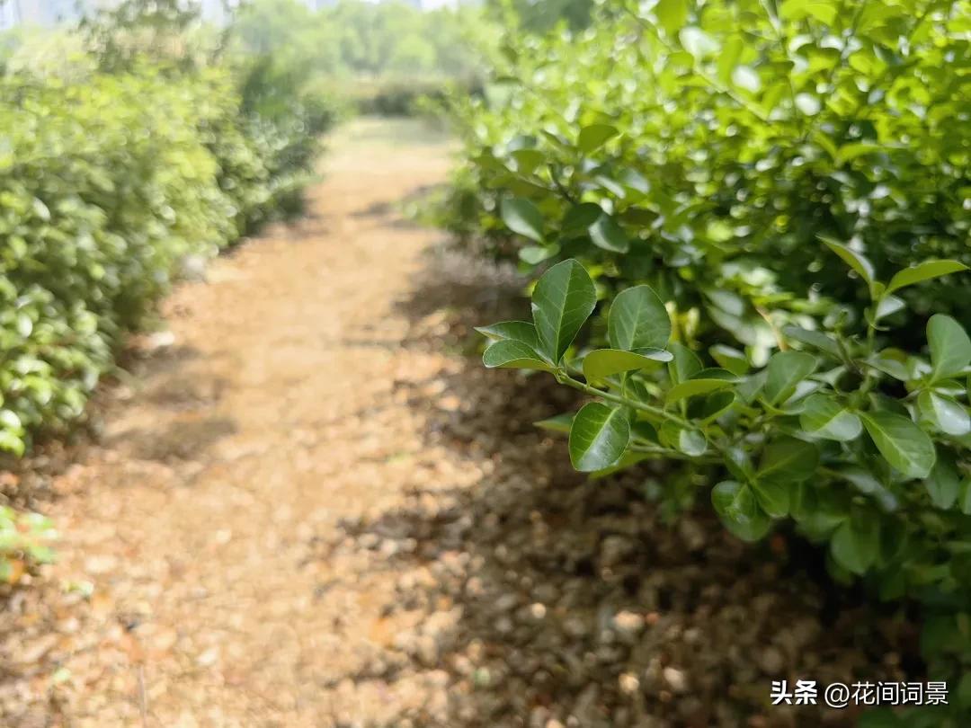 儿童古诗10首，让你回到快乐时光