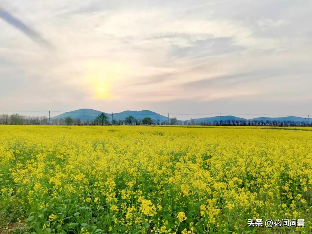 儿童古诗10首，让你回到快乐时光