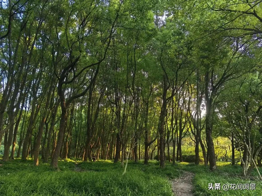 儿童古诗10首，让你回到快乐时光