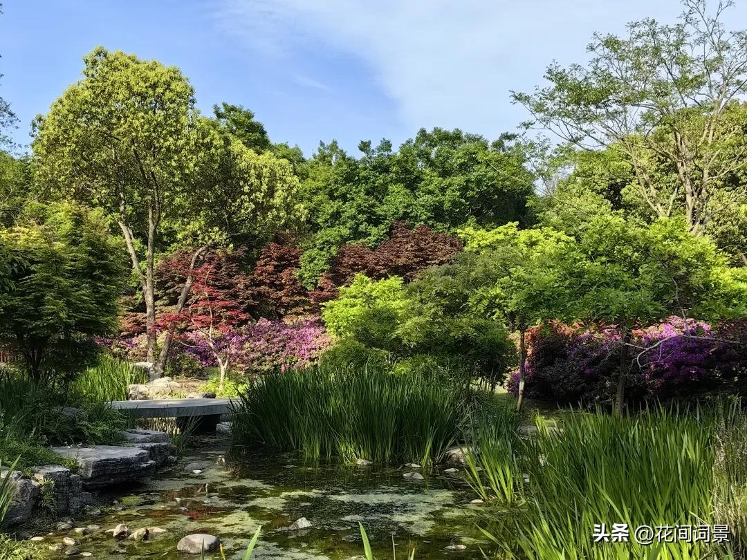 儿童古诗10首，让你回到快乐时光