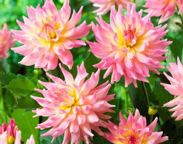 经典人生短句现实8句，看完扎心，又很现实