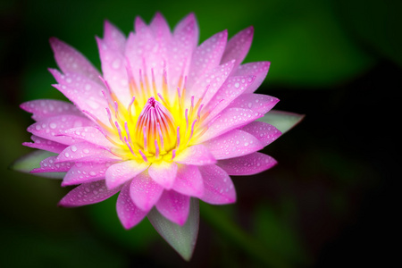 经典人生短句现实8句，看完扎心，又很现实