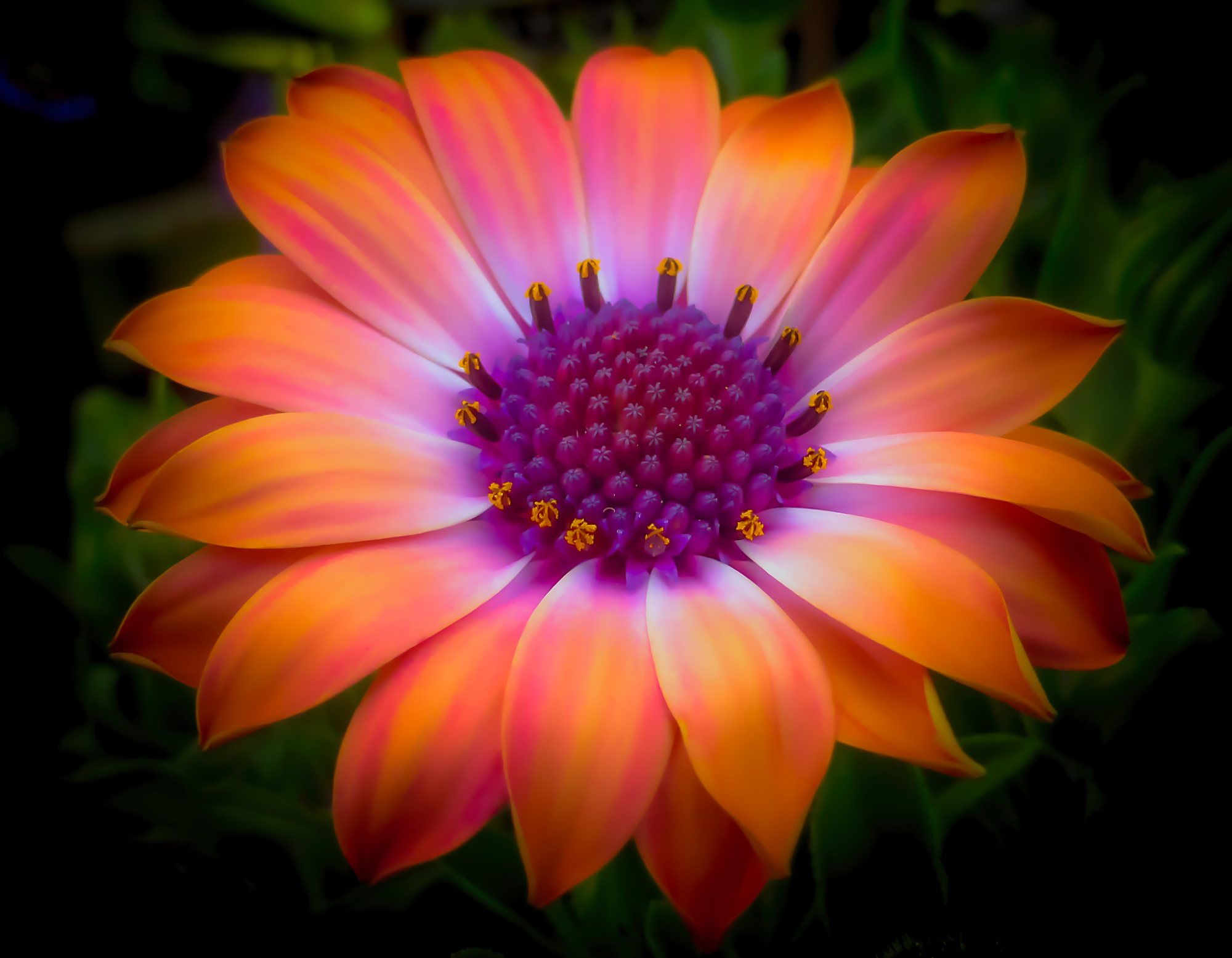 经典人生短句现实8句，看完扎心，又很现实