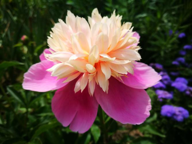 经典人生短句现实8句，看完扎心，又很现实