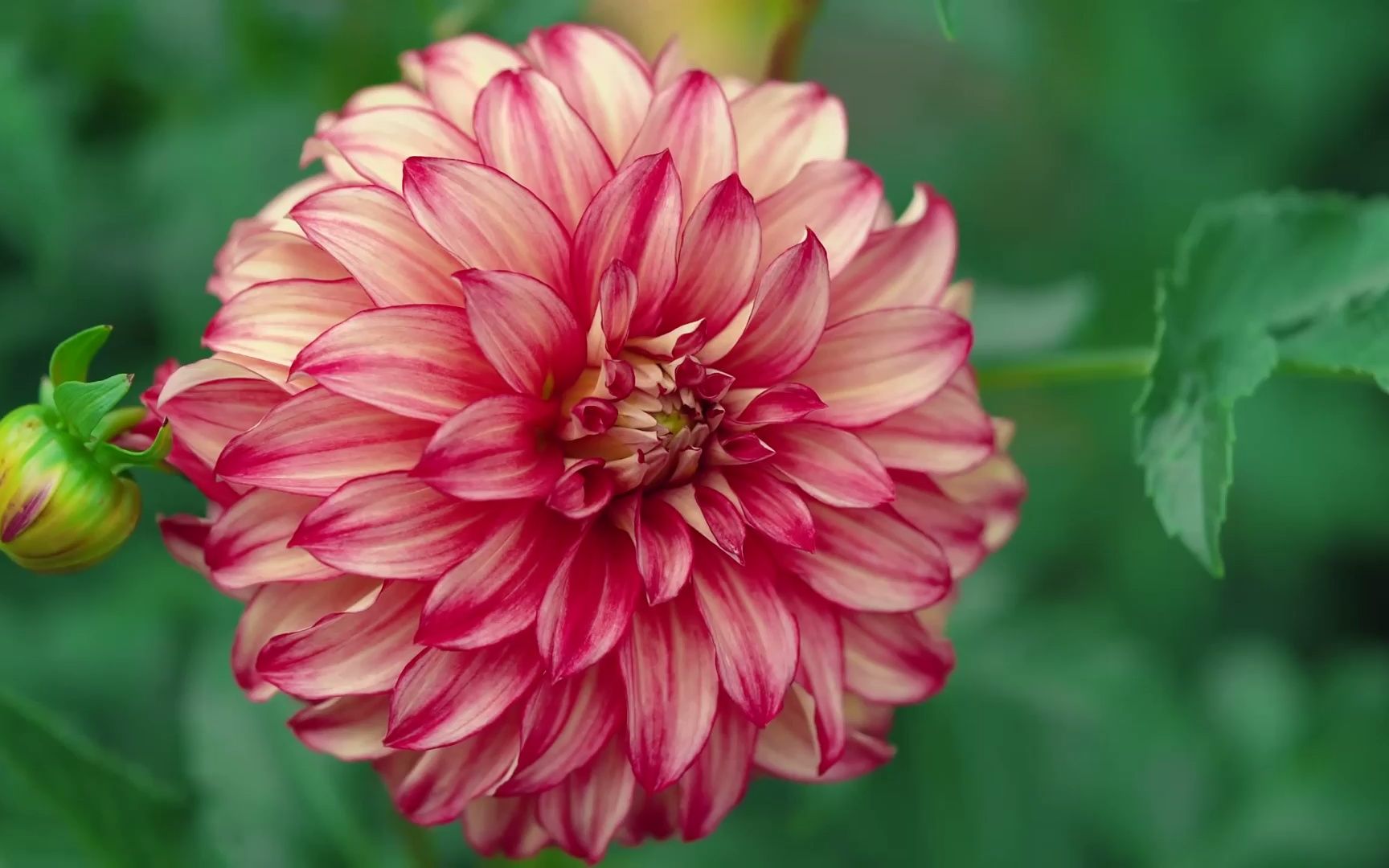 经典人生短句现实8句，看完扎心，又很现实