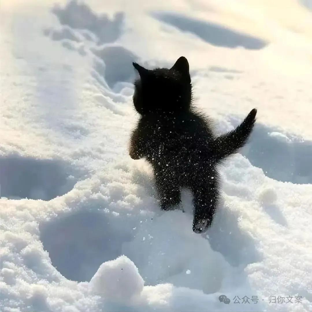下雪天发朋友圈的句子10句，唯美又浪漫!