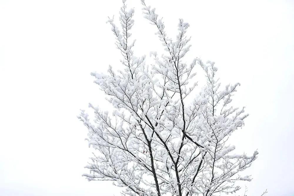 下雪天发朋友圈的句子10句，唯美又浪漫!