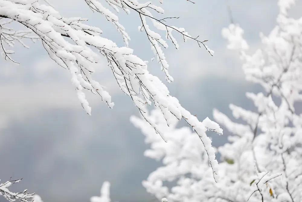 下雪天发朋友圈的句子10句，唯美又浪漫!