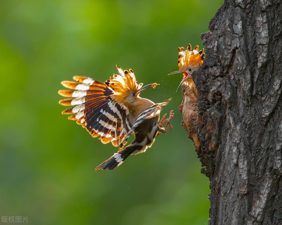描写母亲的诗句10首，品味永恒的母爱