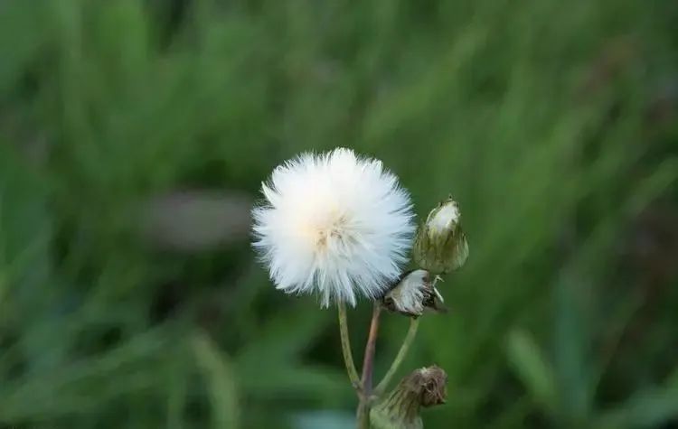 感受大自然的优美句子25句，带你感受心灵的宁静