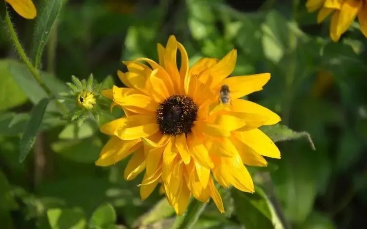 感受大自然的优美句子25句，带你感受心灵的宁静