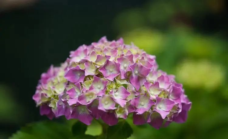 感受大自然的优美句子25句，带你感受心灵的宁静