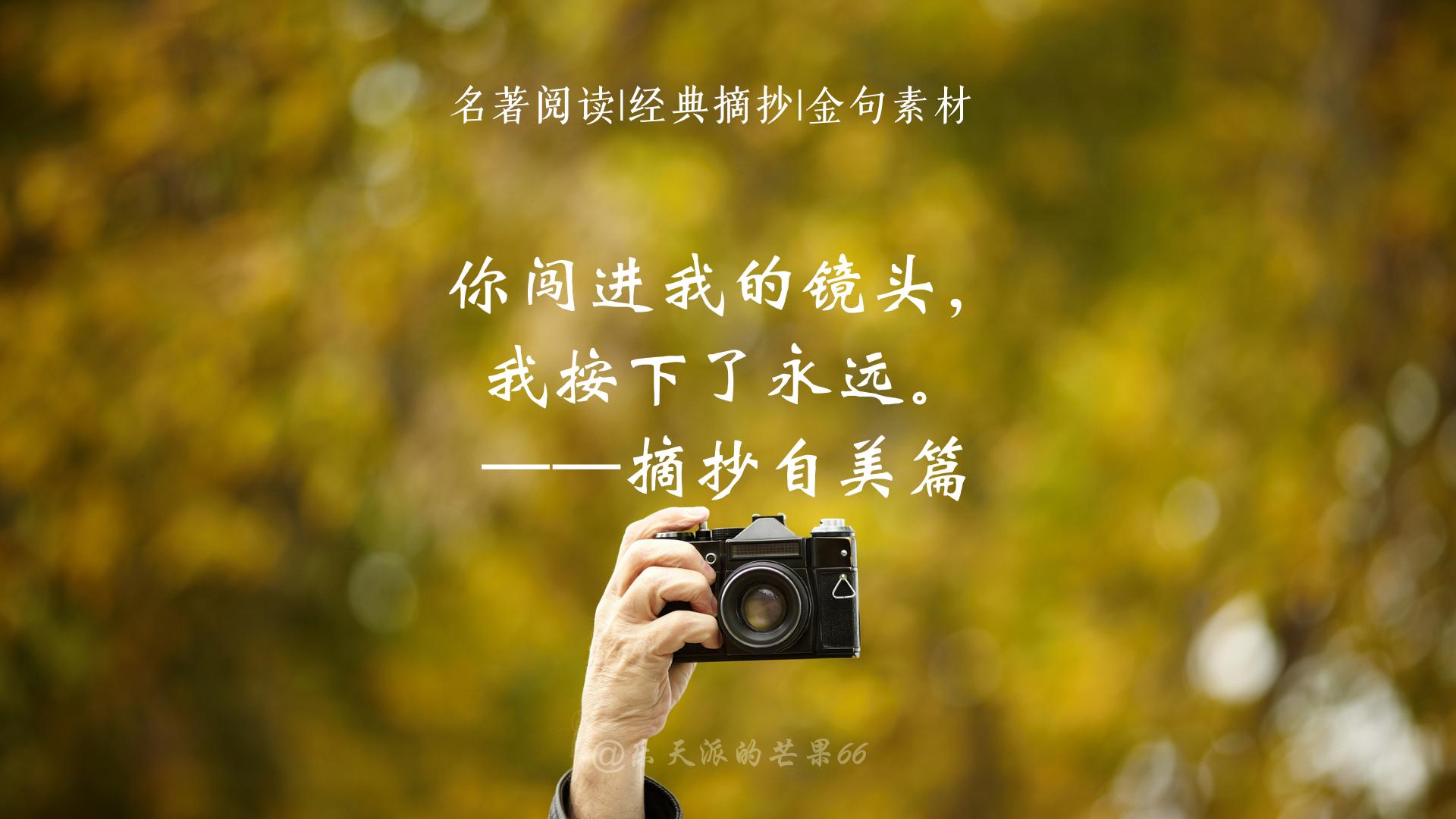 爱的经典句子15句，我的爱只为你