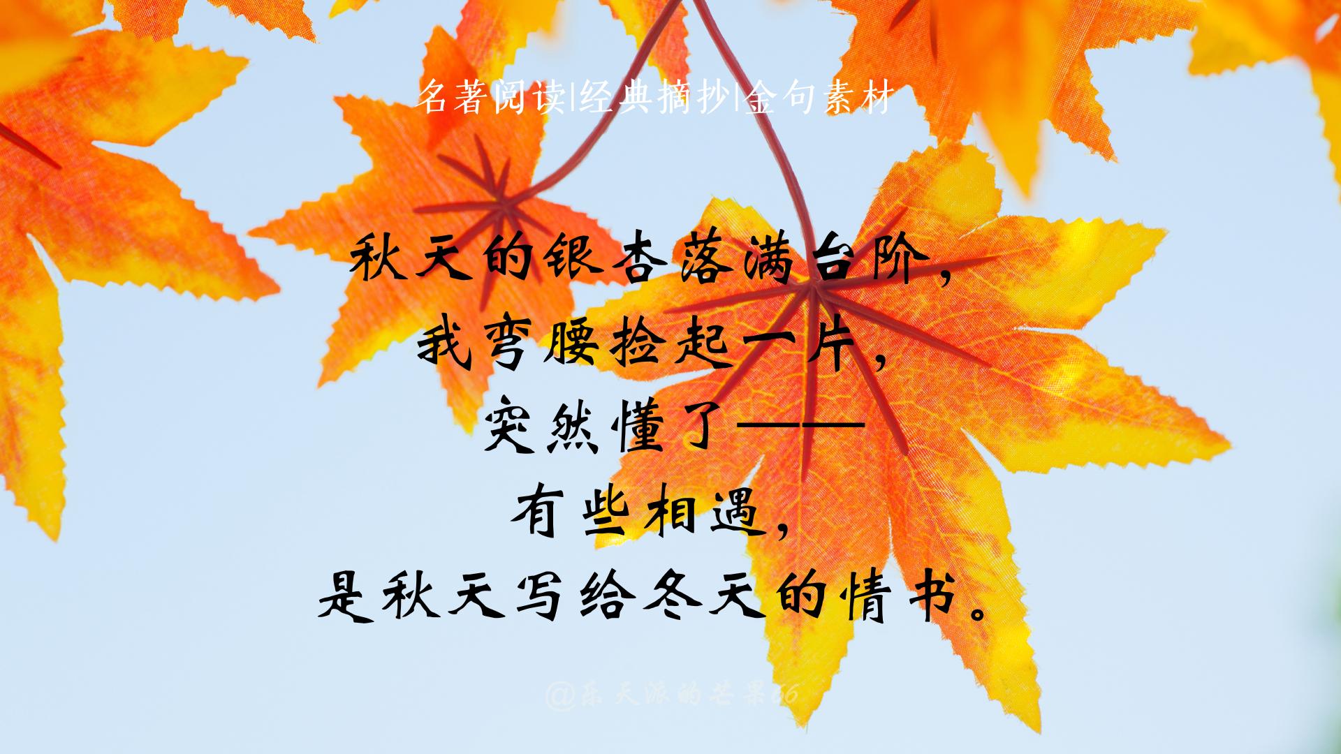 爱一个人的句子15句，爱始于初见，情止于终老