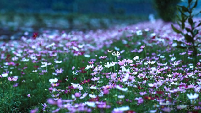 哲理名言美句40句，句句戳透人性