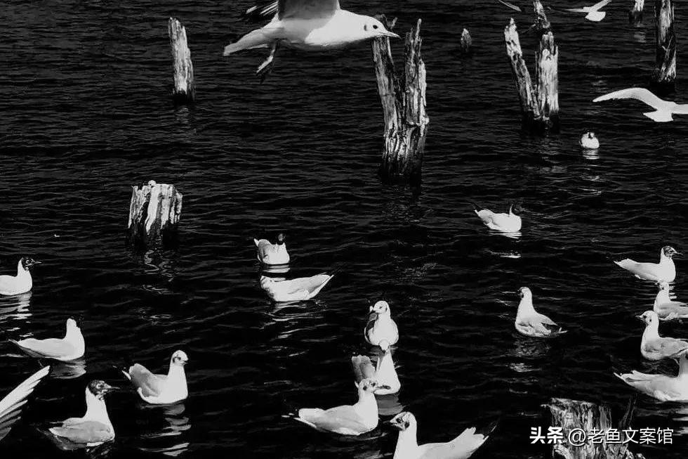 扎心的文案12句，道尽相思与不舍