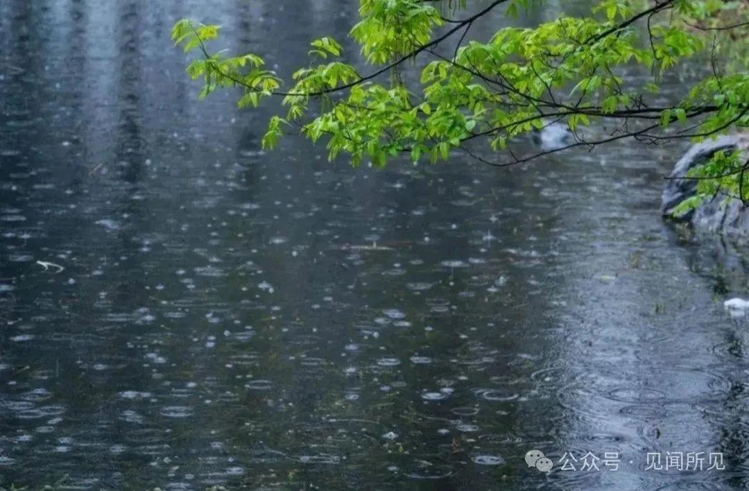 夏天的雨的诗句12句，半夏听雨声，凉意入心来