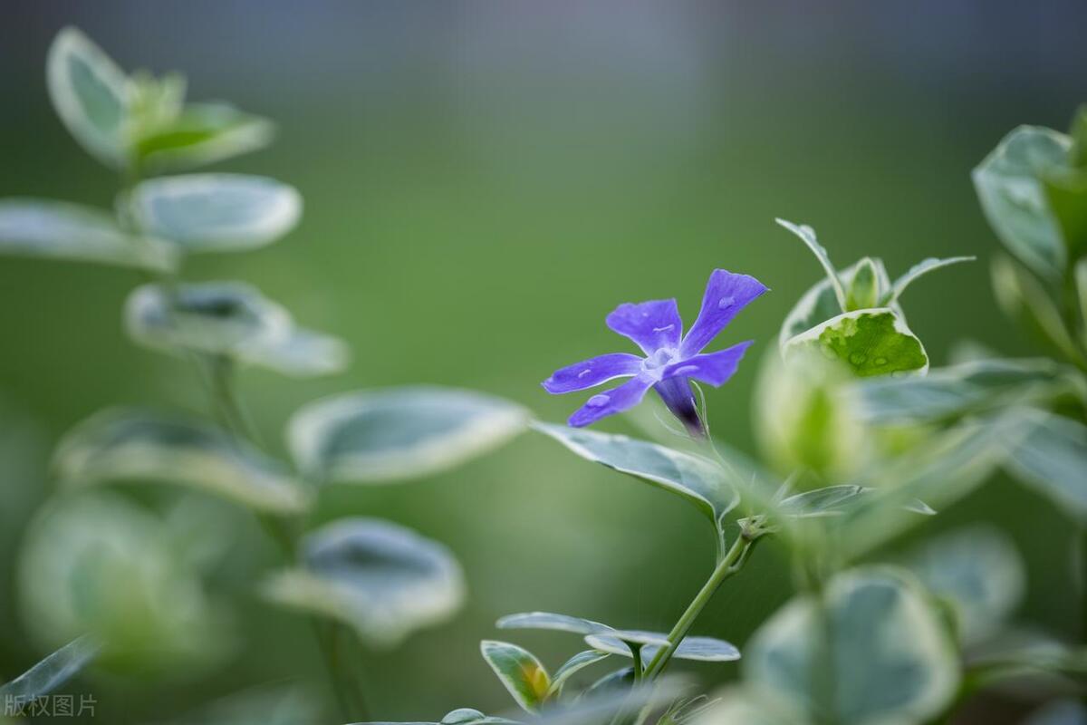 克服困难的名言名句20句，句句经典，句句精辟