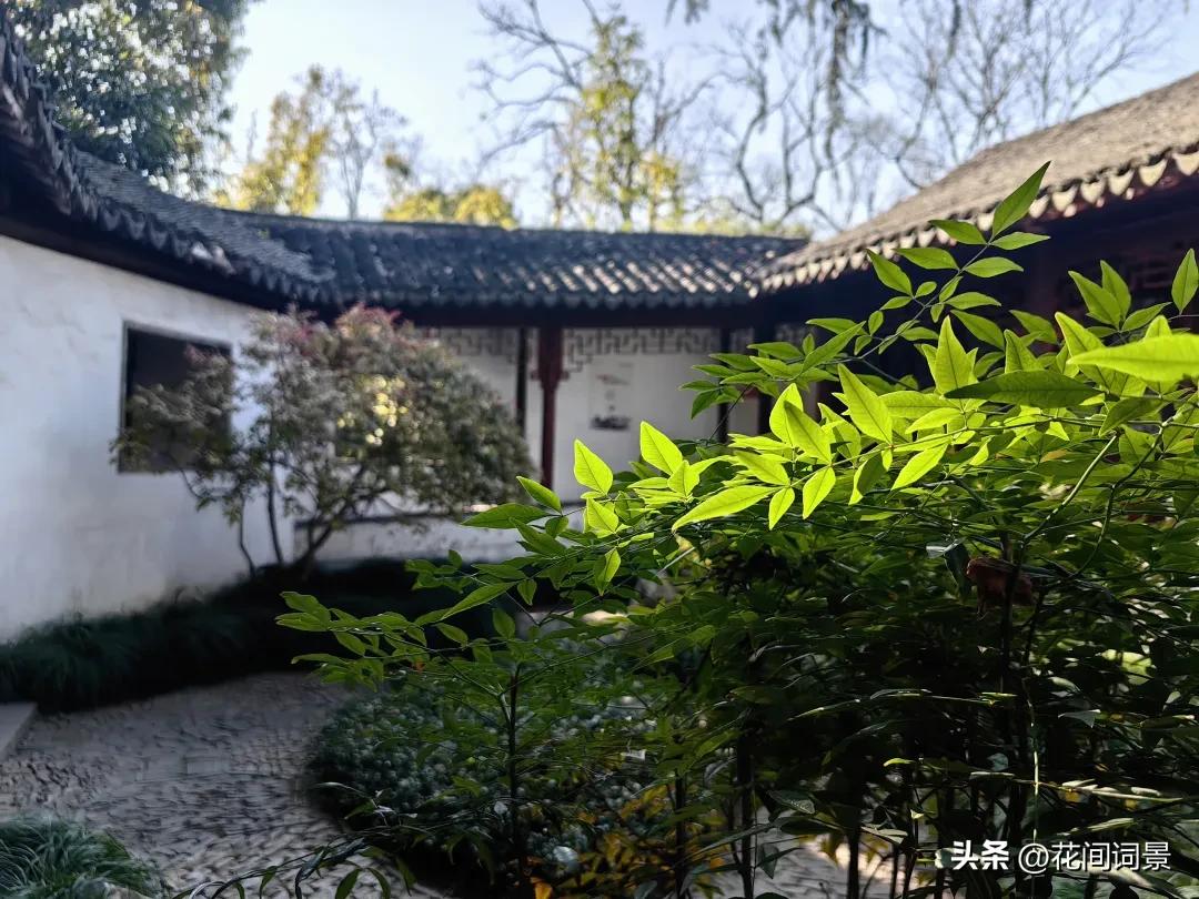 夏至的古诗10首，句句醉了心间