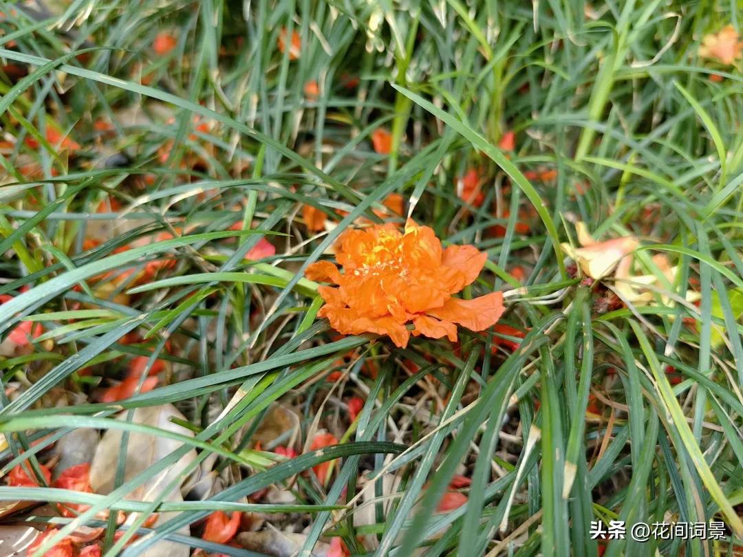 夏至的古诗10首，句句醉了心间