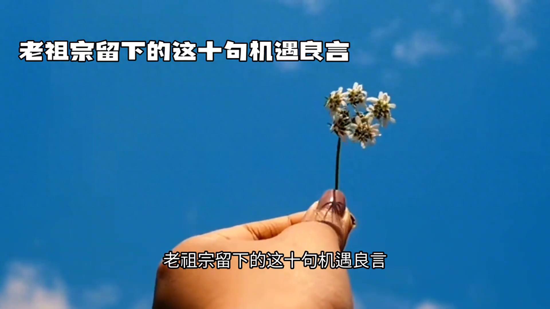 把握机会的名言名句10句，让人受益匪浅