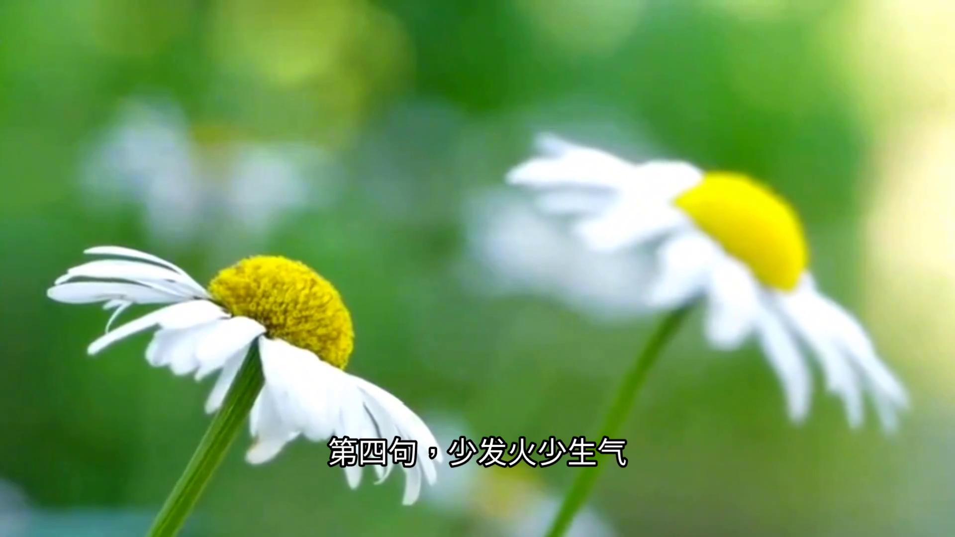 把握机会的名言名句10句，让人受益匪浅