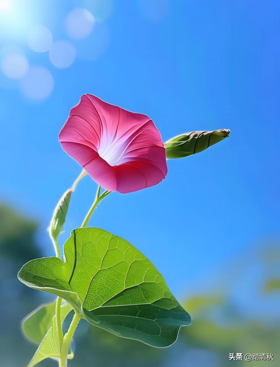 爱情名言诗句18句，有没有你喜欢的那一条