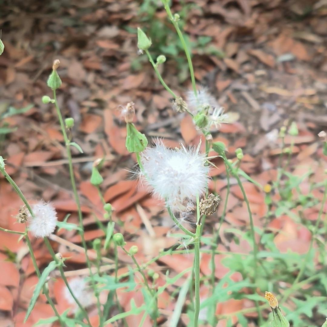 坚定信念的名言30句，句句催人奋进!