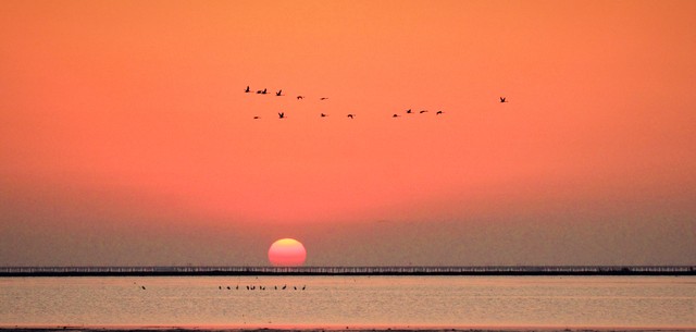 最美的离别诗词10句，哪一句更触动你的心