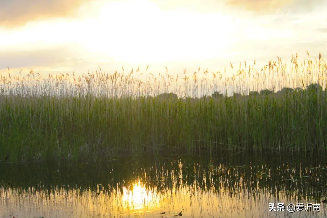 爱国诗句38首，同样让人热血澎湃!
