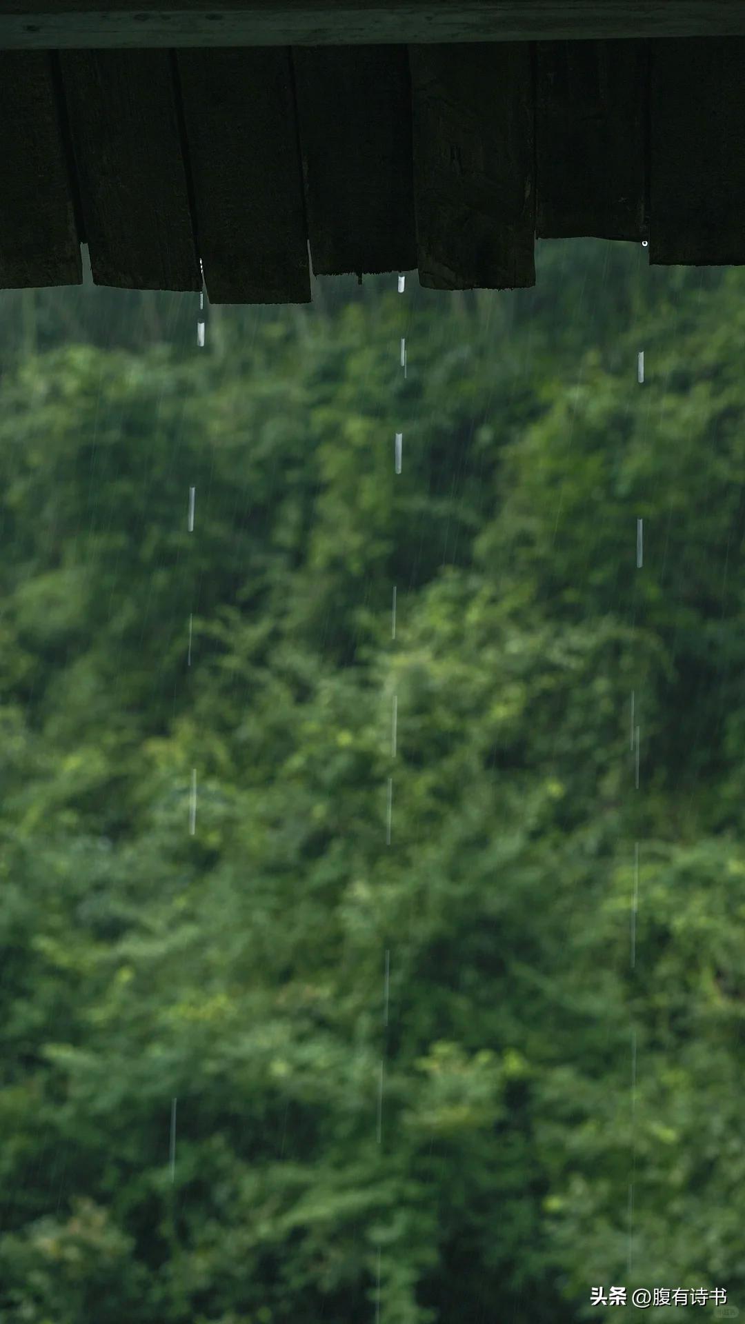 有关秋雨的诗句，一场秋雨一场凉