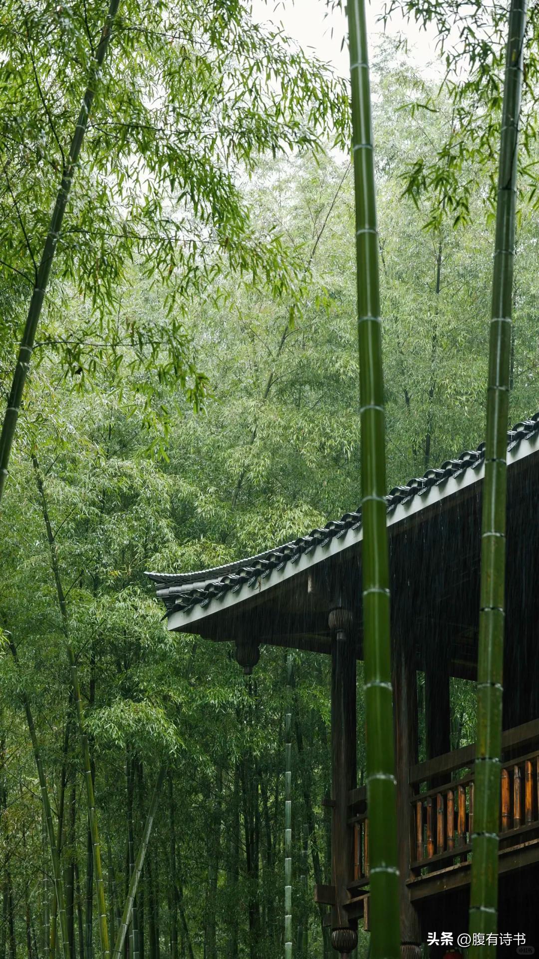 有关秋雨的诗句，一场秋雨一场凉