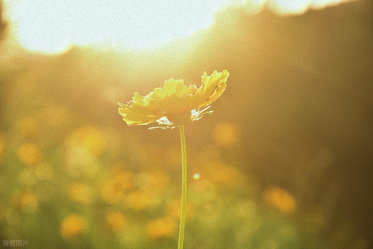 正能量座右铭20句，句句温暖心灵!