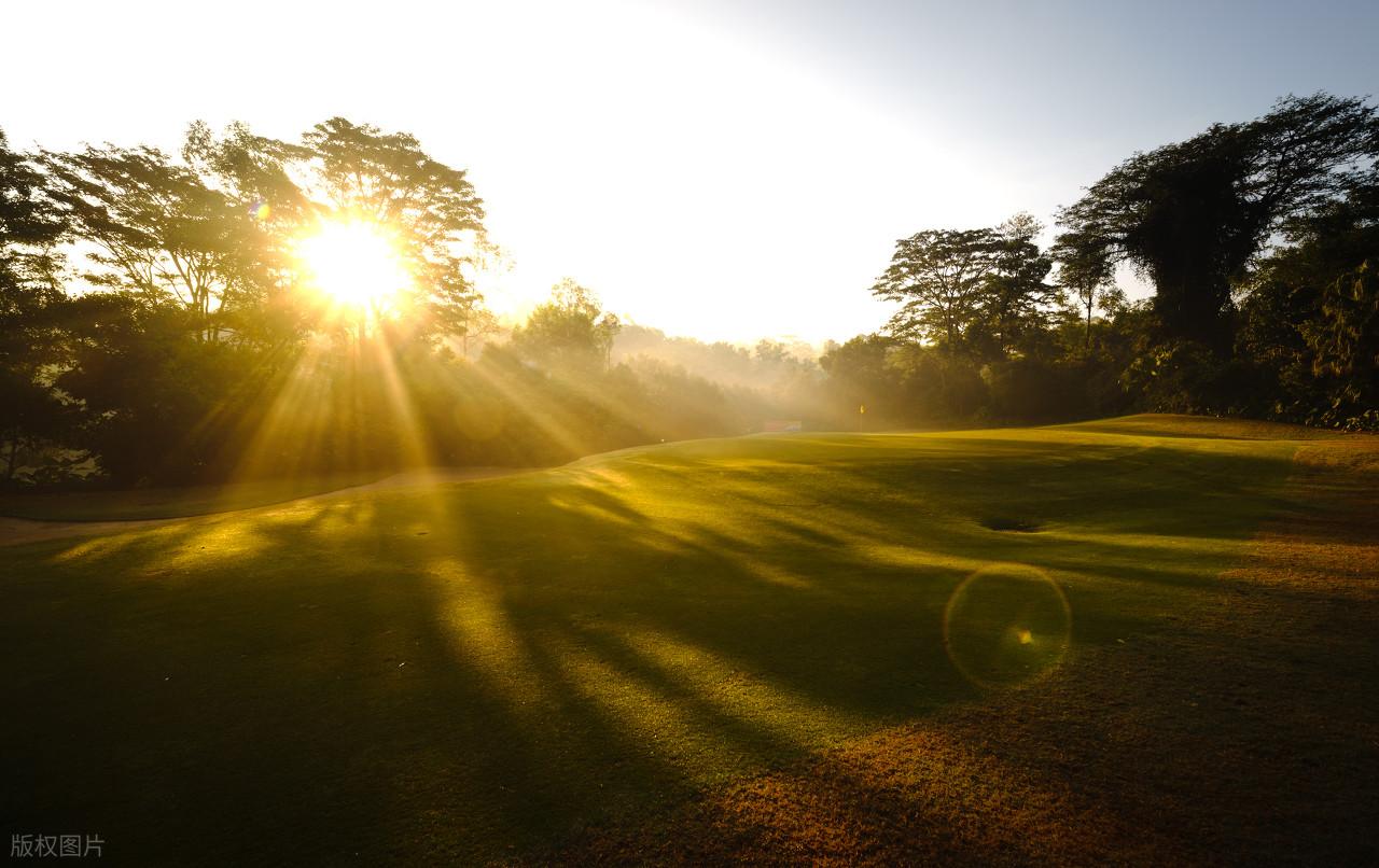 又甜又撩的表白情话11句，瞬间甜到骨子里