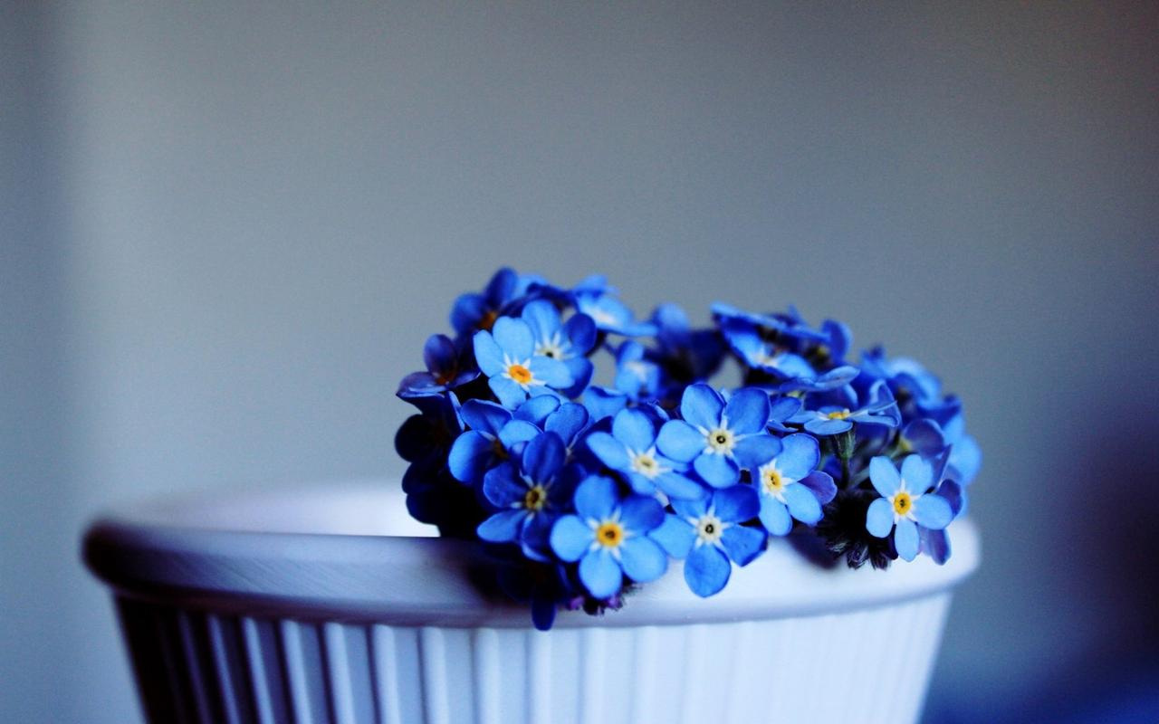 梦想名言名句优美句子20句，心中有梦想，脚下就有力量