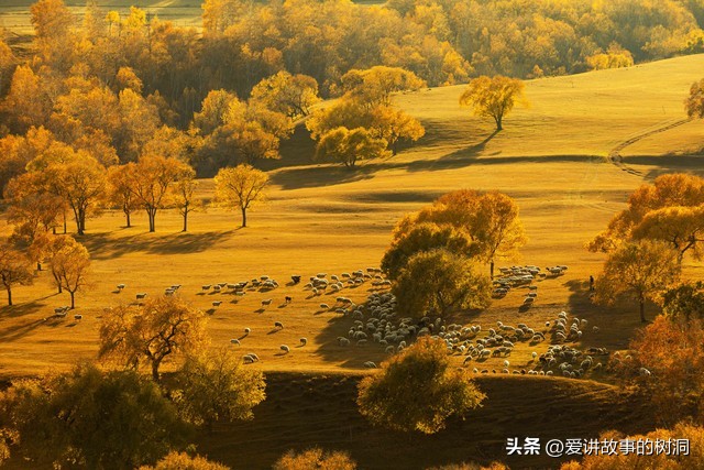 秋天的古诗词50句，领略古人笔下的秋意之美