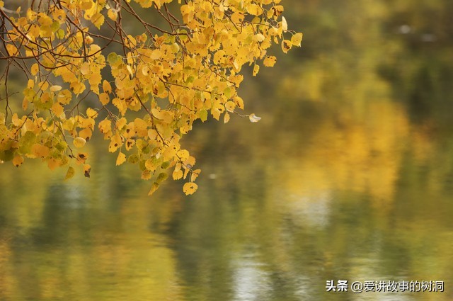 秋天的古诗词50句，领略古人笔下的秋意之美