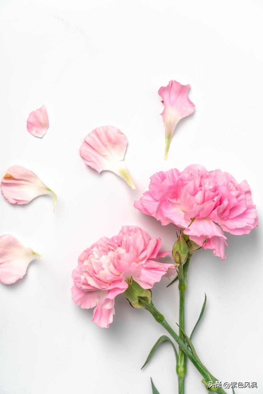 古代爱情诗句25句，读一次感动一次