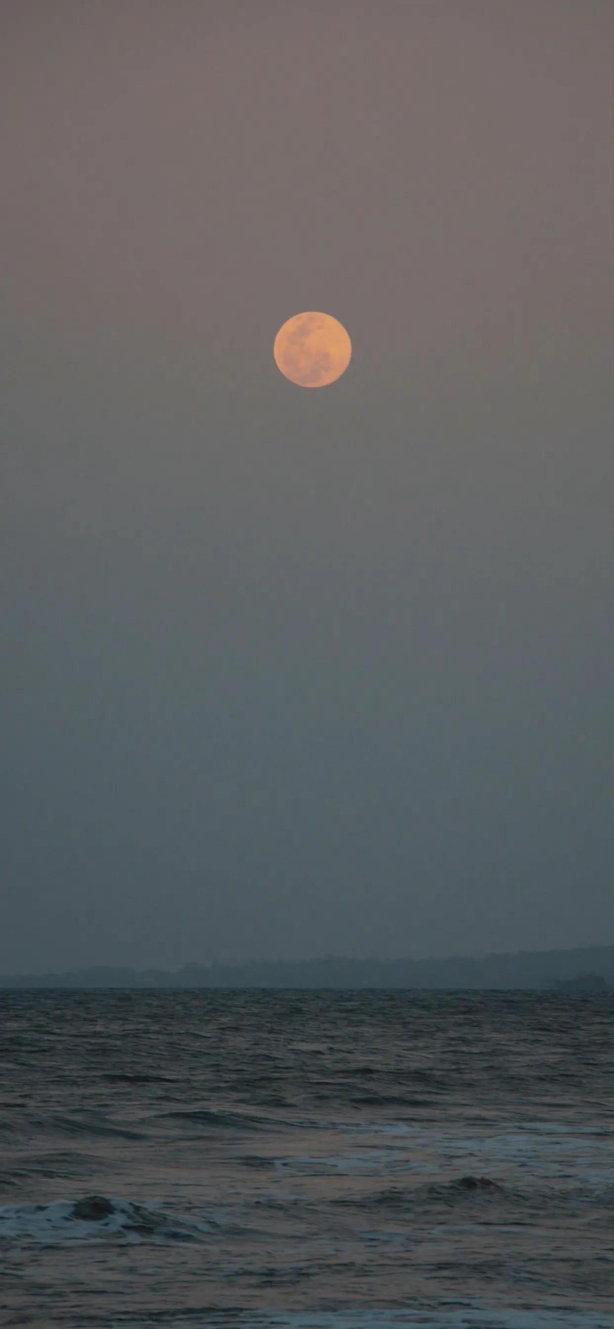 描写月亮的诗句10句，共赏经典里的月色